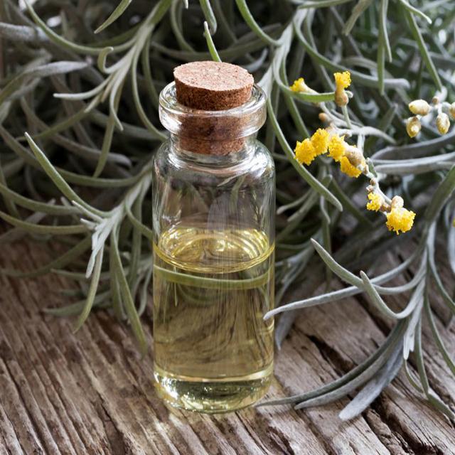 Helichrysum Essential Oil Immortelle 10% - Soap supplies,Soap supplies Canada,Soap supplies Calgary, Soap making kit, Soap making kit Canada, Soap making kit Calgary, Do it yourself soap kit, Do it yourself soap kit Canada,  Do it yourself soap kit Calgary- Soap and More the Learning Centre Inc