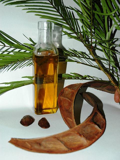 Pracaxi Virgin Seed Oil - Soap supplies,Soap supplies Canada,Soap supplies Calgary, Soap making kit, Soap making kit Canada, Soap making kit Calgary, Do it yourself soap kit, Do it yourself soap kit Canada,  Do it yourself soap kit Calgary- Soap and More the Learning Centre Inc