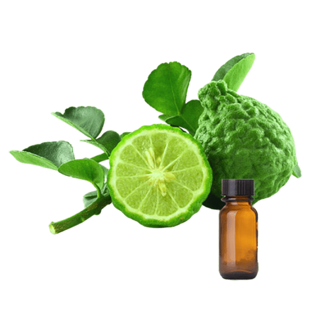 Bergamot Essential Oil (Bergapteen Free) - Soap supplies,Soap supplies Canada,Soap supplies Calgary, Soap making kit, Soap making kit Canada, Soap making kit Calgary, Do it yourself soap kit, Do it yourself soap kit Canada,  Do it yourself soap kit Calgary- Soap and More the Learning Centre Inc