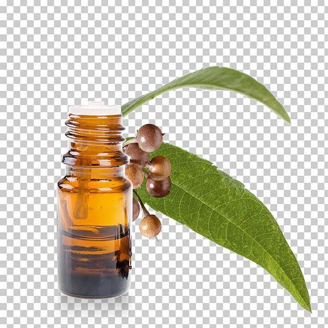 Eucalyptus Radiata Essential Oil - Soap supplies,Soap supplies Canada,Soap supplies Calgary, Soap making kit, Soap making kit Canada, Soap making kit Calgary, Do it yourself soap kit, Do it yourself soap kit Canada,  Do it yourself soap kit Calgary- Soap and More the Learning Centre Inc