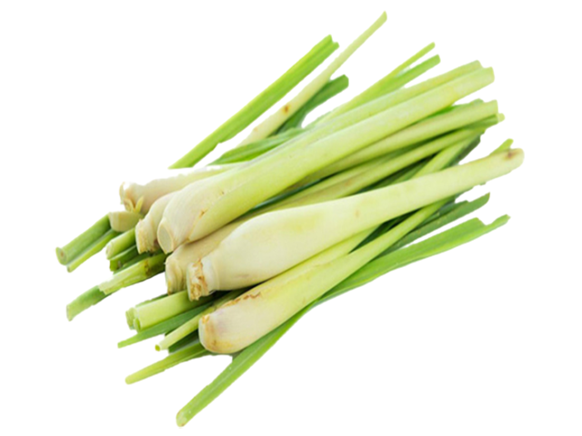 Lemongrass Essential Oil - Soap supplies,Soap supplies Canada,Soap supplies Calgary, Soap making kit, Soap making kit Canada, Soap making kit Calgary, Do it yourself soap kit, Do it yourself soap kit Canada,  Do it yourself soap kit Calgary- Soap and More the Learning Centre Inc