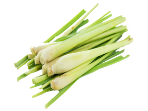 Lemongrass Essential Oil - Soap supplies,Soap supplies Canada,Soap supplies Calgary, Soap making kit, Soap making kit Canada, Soap making kit Calgary, Do it yourself soap kit, Do it yourself soap kit Canada,  Do it yourself soap kit Calgary- Soap and More the Learning Centre Inc