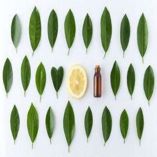 Lemon Tea Tree Essential Oil Organic - Soap supplies,Soap supplies Canada,Soap supplies Calgary, Soap making kit, Soap making kit Canada, Soap making kit Calgary, Do it yourself soap kit, Do it yourself soap kit Canada,  Do it yourself soap kit Calgary- Soap and More the Learning Centre Inc