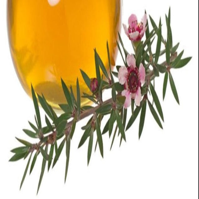 Manuka Essential Oil Organic