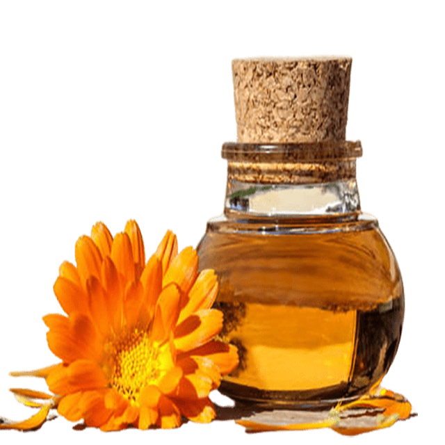 Calendula infused in Organic Sunflower Oil - Soap supplies,Soap supplies Canada,Soap supplies Calgary, Soap making kit, Soap making kit Canada, Soap making kit Calgary, Do it yourself soap kit, Do it yourself soap kit Canada,  Do it yourself soap kit Calgary- Soap and More the Learning Centre Inc