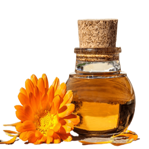 Calendula infused in Organic Sunflower Oil - Soap supplies,Soap supplies Canada,Soap supplies Calgary, Soap making kit, Soap making kit Canada, Soap making kit Calgary, Do it yourself soap kit, Do it yourself soap kit Canada,  Do it yourself soap kit Calgary- Soap and More the Learning Centre Inc