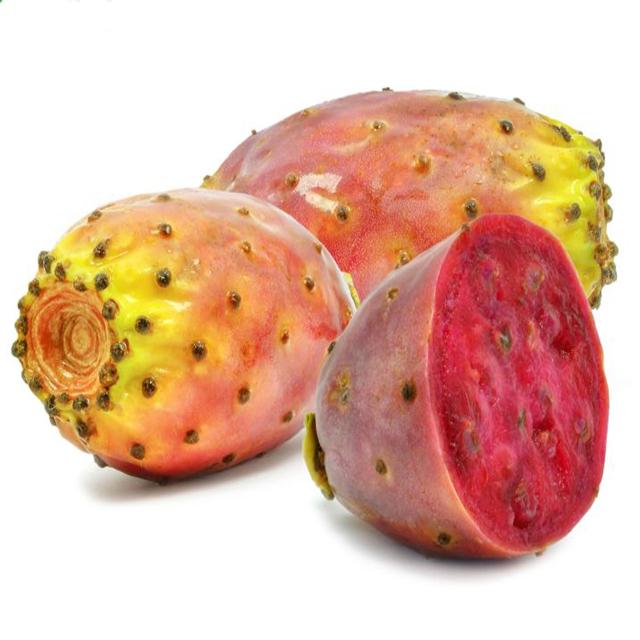 Prickly Pear Seed Virgin Oil Pesticide Free - Soap supplies,Soap supplies Canada,Soap supplies Calgary, Soap making kit, Soap making kit Canada, Soap making kit Calgary, Do it yourself soap kit, Do it yourself soap kit Canada,  Do it yourself soap kit Calgary- Soap and More the Learning Centre Inc