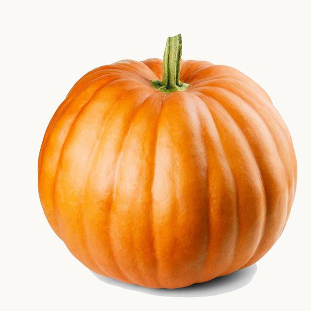 Pumpkin Pie Fragrance Oil  (Phthalate Free) - Soap supplies,Soap supplies Canada,Soap supplies Calgary, Soap making kit, Soap making kit Canada, Soap making kit Calgary, Do it yourself soap kit, Do it yourself soap kit Canada,  Do it yourself soap kit Calgary- Soap and More the Learning Centre Inc