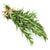 Rosemary Floral Water