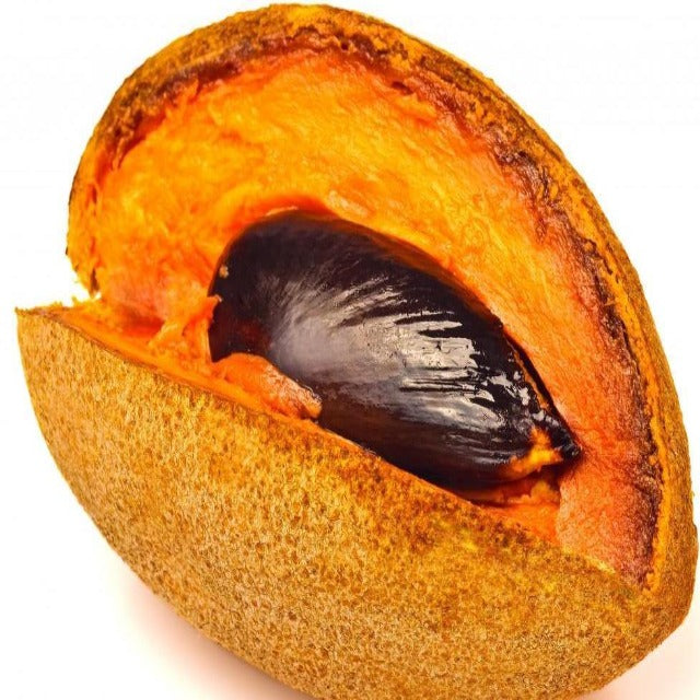 Sapote Oil Virgin Pesticide Free - Soap supplies,Soap supplies Canada,Soap supplies Calgary, Soap making kit, Soap making kit Canada, Soap making kit Calgary, Do it yourself soap kit, Do it yourself soap kit Canada,  Do it yourself soap kit Calgary- Soap and More the Learning Centre Inc