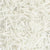 SCI Sodium Cocoyl Isethionate NOODLES Palm Free Discontinuing - Soap supplies,Soap supplies Canada,Soap supplies Calgary, Soap making kit, Soap making kit Canada, Soap making kit Calgary, Do it yourself soap kit, Do it yourself soap kit Canada,  Do it yourself soap kit Calgary- Soap and More the Learning Centre Inc