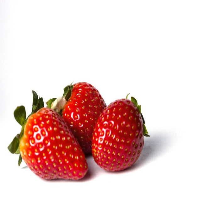 organic strawberry seed oil Strawberry Seed Oil Virgin Pesticide Free