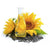 Sunflower Oil High Oleic Organic - Soap supplies,Soap supplies Canada,Soap supplies Calgary, Soap making kit, Soap making kit Canada, Soap making kit Calgary, Do it yourself soap kit, Do it yourself soap kit Canada,  Do it yourself soap kit Calgary- Soap and More the Learning Centre Inc