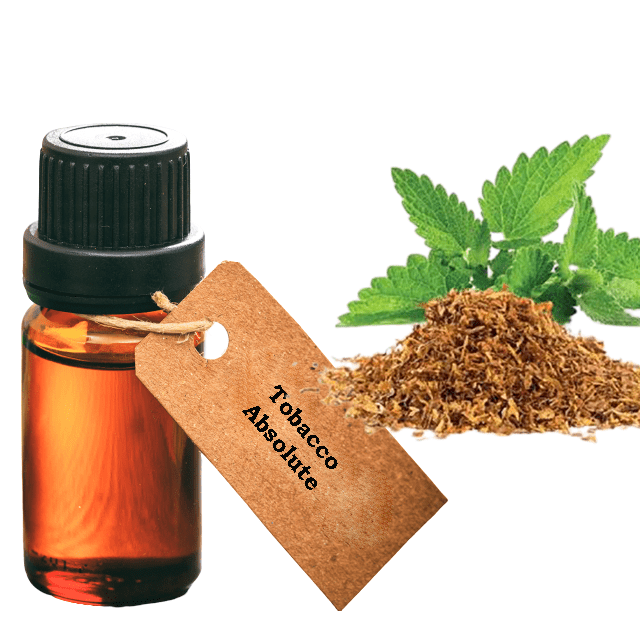 tobacco leaf absolute Tobacco Leaf Absolute tobacco leaf absolute Tobacco Leaf Absolute