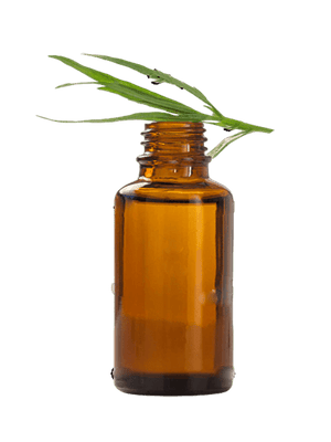 Tarragon Essential Oil - Soap supplies,Soap supplies Canada,Soap supplies Calgary, Soap making kit, Soap making kit Canada, Soap making kit Calgary, Do it yourself soap kit, Do it yourself soap kit Canada,  Do it yourself soap kit Calgary- Soap and More the Learning Centre Inc