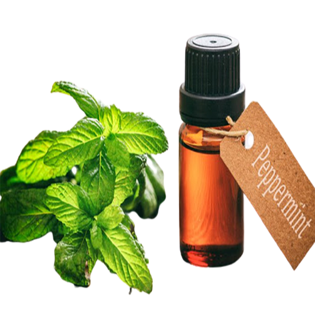 Peppermint Essential Oil Supreme - Soap supplies,Soap supplies Canada,Soap supplies Calgary, Soap making kit, Soap making kit Canada, Soap making kit Calgary, Do it yourself soap kit, Do it yourself soap kit Canada,  Do it yourself soap kit Calgary- Soap and More the Learning Centre Inc