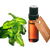 Peppermint Essential Oil Supreme - Soap supplies,Soap supplies Canada,Soap supplies Calgary, Soap making kit, Soap making kit Canada, Soap making kit Calgary, Do it yourself soap kit, Do it yourself soap kit Canada,  Do it yourself soap kit Calgary- Soap and More the Learning Centre Inc