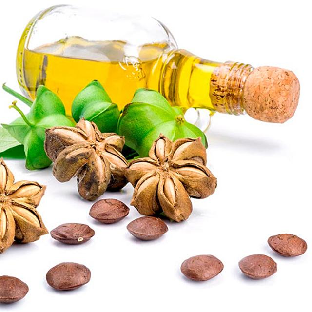 Sacha Inchi Seed Oil Pesticide Free - Soap supplies,Soap supplies Canada,Soap supplies Calgary, Soap making kit, Soap making kit Canada, Soap making kit Calgary, Do it yourself soap kit, Do it yourself soap kit Canada,  Do it yourself soap kit Calgary- Soap and More the Learning Centre Inc